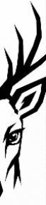 Black and white tattoo design of a deer head on a white background